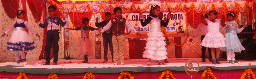 Cultural program